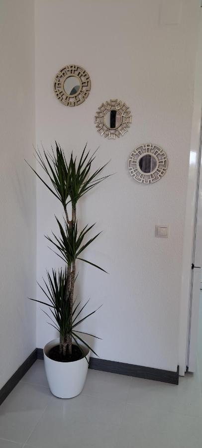 Apartamento Heco Peniscola Bagian luar foto